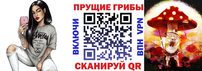 наркотики  Ардатов  Галлюциногенные грибы Psilocybe 